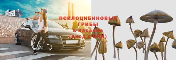 СК Алзамай