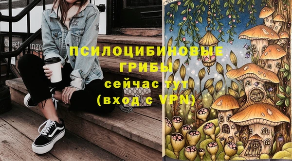 СК Алзамай