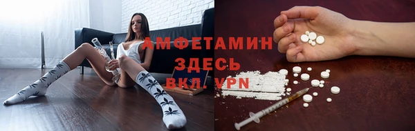 СК Алзамай