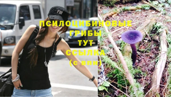 индика Алексеевка