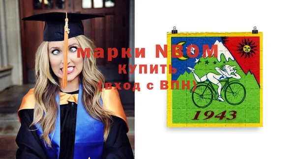 индика Алексеевка